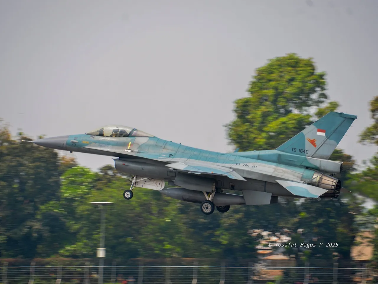 A grey-blue Indonesian Air Force F-16 fighter jet with its landing gear down flying low past trees