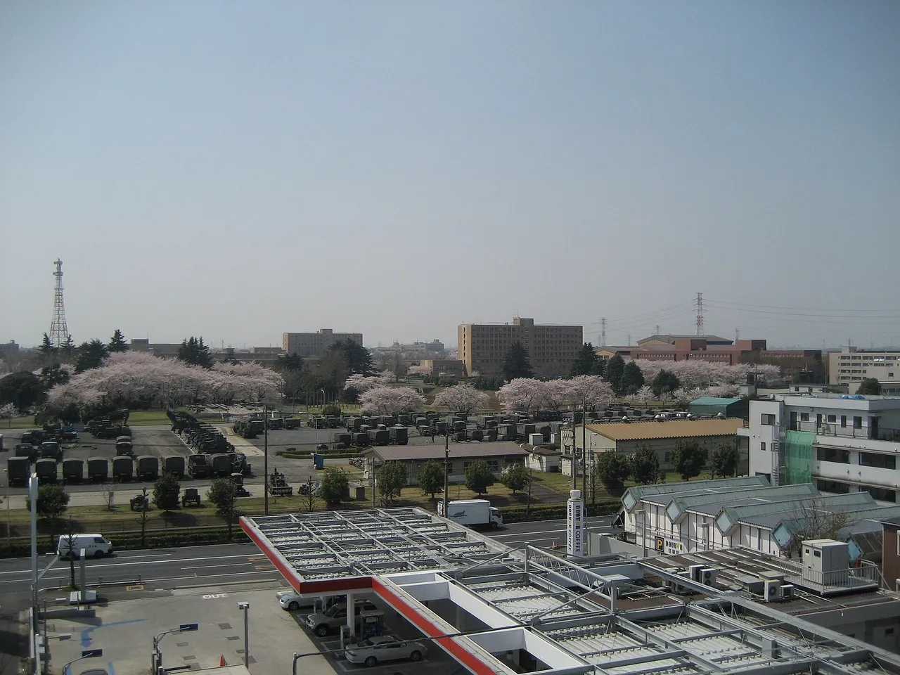 View over a Japanese army base with rows of olive military trucks, cherry trees in blossom and office buildings behind a road and a petrol station
