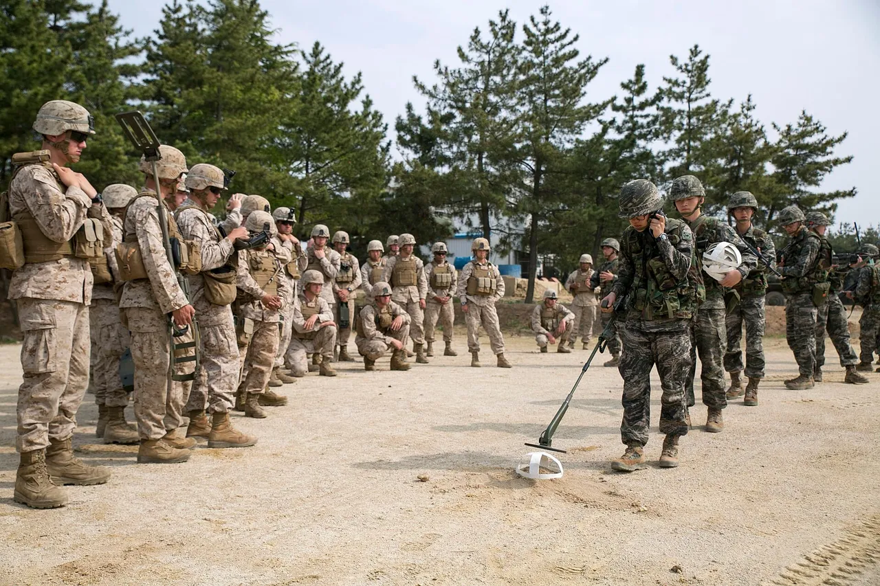 Marines in camouflage sweep metal detectors over grassy ground during a mine detection demonstration
