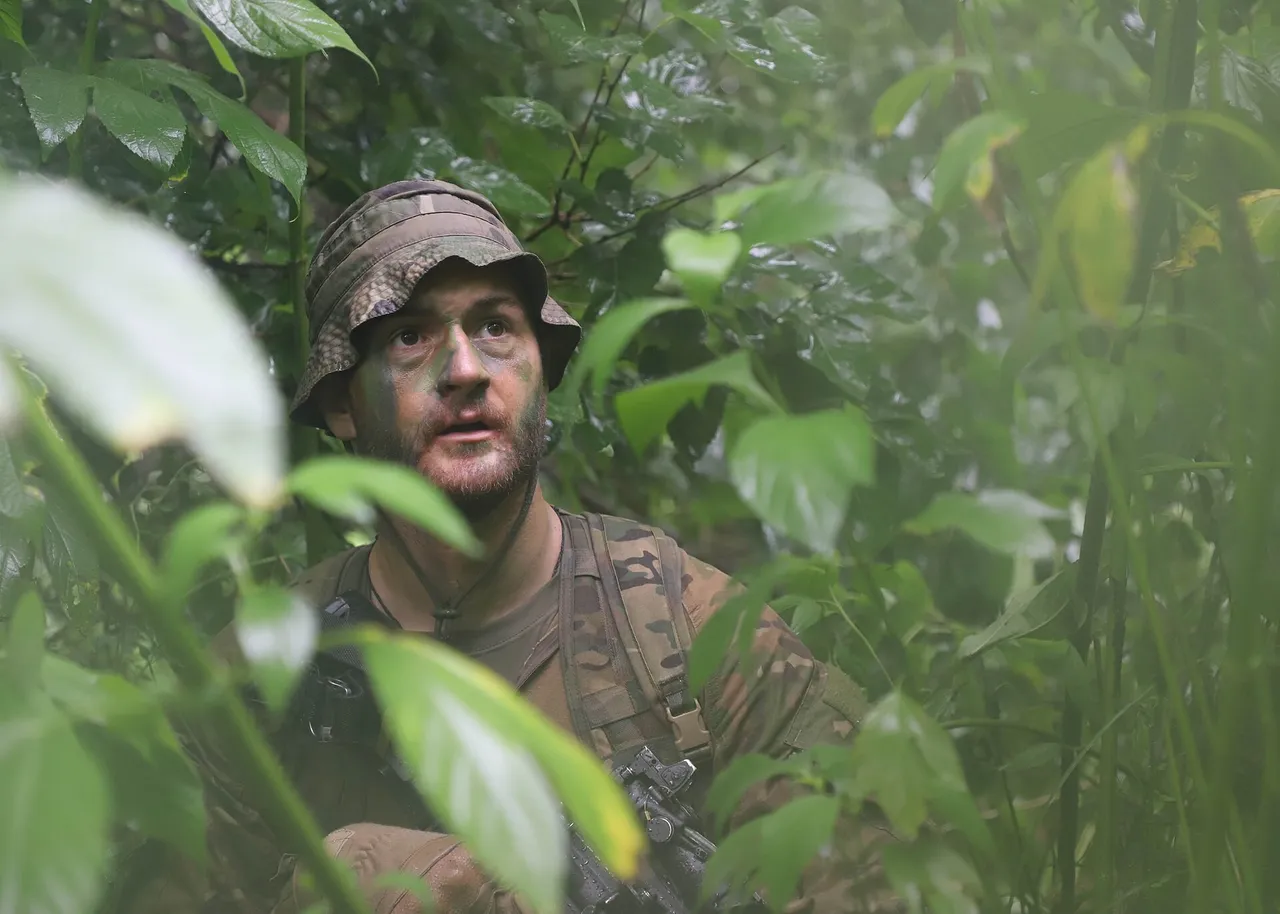A New Zealand Army soldier in camouflage uniform and helmet holding a rifle and scanning a wooded area during a field exercise
