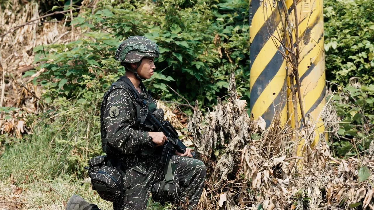 A soldier in camouflage uniform and helmet kneels beside roadside foliage holding a rifle