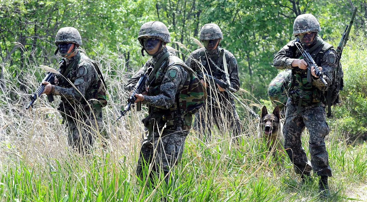 South Korean army soldiers in camouflage moving through a wooded area during a field training exercise